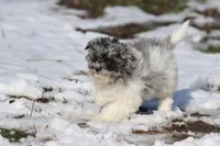 processed/8879fee5-4071-4343-86e7-67b54bb40ec8/listing/c47fa40f-d6ec-422c-9c55-20040894e9ab/d498435b-d594-4bd1-ab31-8732a1cc017d