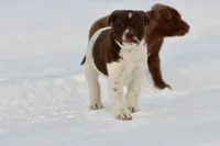 processed/8879fee5-4071-4343-86e7-67b54bb40ec8/listing/dba2771a-57a7-44ca-bc54-c545c634b394/5db822b5-c4c9-4225-a55e-d4557903010b