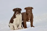 processed/8879fee5-4071-4343-86e7-67b54bb40ec8/listing/dba2771a-57a7-44ca-bc54-c545c634b394/65df938f-095b-409b-ba88-b46cd8d34d63