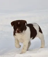 processed/8879fee5-4071-4343-86e7-67b54bb40ec8/listing/dba2771a-57a7-44ca-bc54-c545c634b394/fab5203c-a8e3-488c-99ac-b80461ae32df