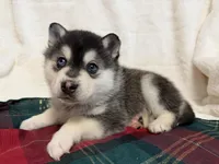 processed/8879fee5-4071-4343-86e7-67b54bb40ec8/listing/e4863e2e-a711-464f-add9-390f27f96311/076afcdb-a015-4176-a4da-c37aa34d346b