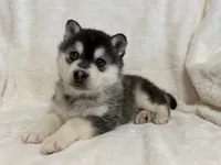 processed/8879fee5-4071-4343-86e7-67b54bb40ec8/listing/e4863e2e-a711-464f-add9-390f27f96311/ded482eb-a21b-4db8-988e-d779f124188f