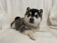 processed/8879fee5-4071-4343-86e7-67b54bb40ec8/listing/e4863e2e-a711-464f-add9-390f27f96311/f91afc88-8f3f-459a-ae4a-65a3c9585577