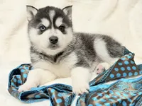 processed/8879fee5-4071-4343-86e7-67b54bb40ec8/listing/f7969c2b-74ed-4bd1-a40e-d208aeebbffb/5e2f1460-cc30-47d2-a1a1-0e8ab5a34fe2