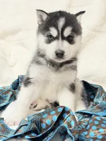 processed/8879fee5-4071-4343-86e7-67b54bb40ec8/listing/f7969c2b-74ed-4bd1-a40e-d208aeebbffb/61d07b28-39c0-4f5f-b2d5-94b2761e3391