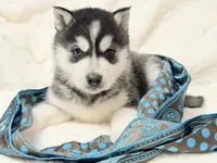 processed/8879fee5-4071-4343-86e7-67b54bb40ec8/listing/f7969c2b-74ed-4bd1-a40e-d208aeebbffb/8e41776f-9f43-41e6-b720-6e2fcf9ba9e5