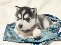 processed/8879fee5-4071-4343-86e7-67b54bb40ec8/listing/f7969c2b-74ed-4bd1-a40e-d208aeebbffb/91d51605-a22a-4cdc-851a-6885d9a12282