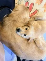 processed/887d6b52-f932-4958-9ed1-1ff3c03d6da1/listing/1c59324f-0f83-4d52-a982-90fdf5fba95b/057a1375-99ea-4723-8d4c-038d03ae016d