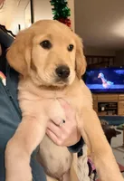 processed/887d6b52-f932-4958-9ed1-1ff3c03d6da1/listing/1c59324f-0f83-4d52-a982-90fdf5fba95b/75965300-b809-44bd-8c3c-36ef7b01a482