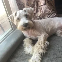 processed/8888cf35-3971-42d8-a430-e13763f7b6cb/facility/653cd6dd-5f4e-4ce4-975f-880a170aee1f