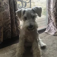 processed/8888cf35-3971-42d8-a430-e13763f7b6cb/facility/ed9472cd-7e29-437c-9acd-123ad78d9511