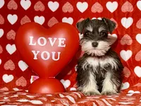 processed/8890c029-ce1f-445e-b022-955e5eab3111/listing/02c9ef23-827d-460f-af68-adbcf91ec952/b42acab3-93b2-4132-b2bf-e58c7fbeeb0b