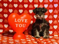 processed/8890c029-ce1f-445e-b022-955e5eab3111/listing/8c405c87-d57f-488c-bed2-f6b8cc0e4c35/1e72b9d3-4117-4a1c-949e-696e7f9c1821