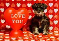 processed/8890c029-ce1f-445e-b022-955e5eab3111/listing/8c405c87-d57f-488c-bed2-f6b8cc0e4c35/b3e50eaf-7d9f-416d-8f33-e089caac805e