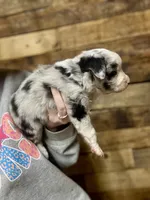 processed/889c8b94-3a3a-4b30-bdca-43101cef58be/listing/0a60794d-1ed8-4d1d-afcf-f892d347ba69/713d6277-cd7d-40ee-99cd-80c6c45a79d1