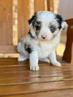 processed/889c8b94-3a3a-4b30-bdca-43101cef58be/listing/0a60794d-1ed8-4d1d-afcf-f892d347ba69/c0002ed1-5997-496a-93bf-800f874d270f