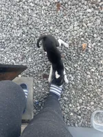 processed/889dfa3a-e038-4775-aac2-8e7292be94a6/listing/65b977be-88aa-421c-af0e-f07b202010db/44ccfcbc-199b-4cf9-9ad6-fdd91e86e756