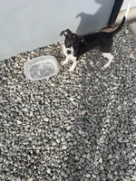 processed/889dfa3a-e038-4775-aac2-8e7292be94a6/listing/65b977be-88aa-421c-af0e-f07b202010db/47aff62c-6a51-4afc-93a5-db473cf1f834