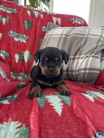 processed/889f60e6-709f-43e0-a992-48fb980dcf98/listing/15cbe6c0-458e-4929-99af-f972552e1835/295d086c-a006-4c5e-bca8-2e3315d929eb