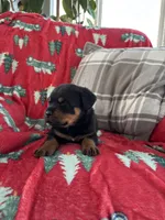 processed/889f60e6-709f-43e0-a992-48fb980dcf98/listing/15cbe6c0-458e-4929-99af-f972552e1835/3a788913-dc92-468b-9508-0db315558444