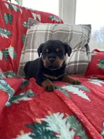 processed/889f60e6-709f-43e0-a992-48fb980dcf98/listing/15cbe6c0-458e-4929-99af-f972552e1835/582d2903-767b-4cc1-8176-ea18ff6b15fb