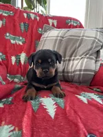 processed/889f60e6-709f-43e0-a992-48fb980dcf98/listing/15cbe6c0-458e-4929-99af-f972552e1835/ae20b48e-80c0-4c22-9ef7-dd858b47c70a