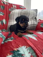 processed/889f60e6-709f-43e0-a992-48fb980dcf98/listing/15cbe6c0-458e-4929-99af-f972552e1835/f5d325ad-df31-465b-93cd-8584dc50ce5f