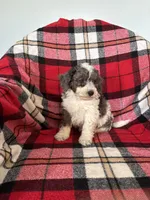 processed/889f60e6-709f-43e0-a992-48fb980dcf98/listing/19228bdc-50e3-49b4-817b-8cac1807baef/477782e2-60fb-4034-a447-a975748bf9f8