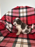 processed/889f60e6-709f-43e0-a992-48fb980dcf98/listing/19228bdc-50e3-49b4-817b-8cac1807baef/777a460e-60f1-445b-9d73-713429d46225