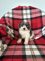 processed/889f60e6-709f-43e0-a992-48fb980dcf98/listing/19228bdc-50e3-49b4-817b-8cac1807baef/7fa7b357-dfc2-4a14-9446-7e172de3d88c