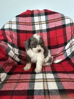 processed/889f60e6-709f-43e0-a992-48fb980dcf98/listing/19228bdc-50e3-49b4-817b-8cac1807baef/d636069c-030c-4a74-b979-8a824fa10712