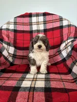 processed/889f60e6-709f-43e0-a992-48fb980dcf98/listing/19228bdc-50e3-49b4-817b-8cac1807baef/e342d4fb-b654-43f8-a704-8db45930ebcd