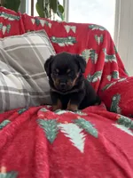 processed/889f60e6-709f-43e0-a992-48fb980dcf98/listing/207e86b2-427f-4ce5-997b-32802574d957/036e5ab6-d70b-4c77-9e32-41905ae9ebd1