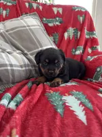 processed/889f60e6-709f-43e0-a992-48fb980dcf98/listing/207e86b2-427f-4ce5-997b-32802574d957/05c47c96-3efc-40b3-9dbd-4288f2cccd26