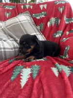 processed/889f60e6-709f-43e0-a992-48fb980dcf98/listing/207e86b2-427f-4ce5-997b-32802574d957/5eaa5dd1-5301-49bf-ad1e-dc2a5e7d24a7