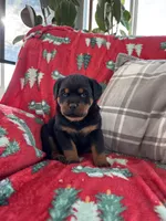 processed/889f60e6-709f-43e0-a992-48fb980dcf98/listing/51f0a9c2-a729-4b2b-9225-f394a97522e9/0bfdccb7-5f01-43be-9aad-9b2cbf17da9e