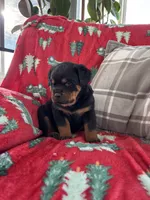 processed/889f60e6-709f-43e0-a992-48fb980dcf98/listing/51f0a9c2-a729-4b2b-9225-f394a97522e9/501beb6b-6532-42d6-ad45-9d51d89e68c0