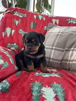 processed/889f60e6-709f-43e0-a992-48fb980dcf98/listing/51f0a9c2-a729-4b2b-9225-f394a97522e9/9bd3e645-7f43-4f54-a8f4-40fdcad62428