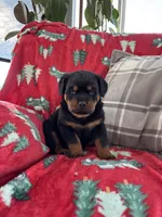 processed/889f60e6-709f-43e0-a992-48fb980dcf98/listing/51f0a9c2-a729-4b2b-9225-f394a97522e9/e160ffc1-3c1b-40c5-8f66-4e703341dc5f