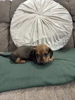 processed/889f60e6-709f-43e0-a992-48fb980dcf98/listing/6b8e9a70-8e6a-4611-91db-e1c4c2effb89/182005fc-ee92-41ed-baec-a51d45a5357c