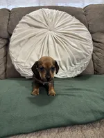 processed/889f60e6-709f-43e0-a992-48fb980dcf98/listing/6b8e9a70-8e6a-4611-91db-e1c4c2effb89/3abc04ce-13d8-40cd-b1a6-17b8f9661f5e