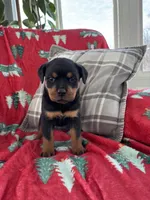 processed/889f60e6-709f-43e0-a992-48fb980dcf98/listing/6eac57f5-646c-435e-b920-35e4d771ecab/1df5f01e-855f-4ac9-9188-2a52e778a799