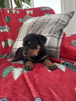 processed/889f60e6-709f-43e0-a992-48fb980dcf98/listing/6eac57f5-646c-435e-b920-35e4d771ecab/d0784998-67e7-45a1-9efb-2afdce911739