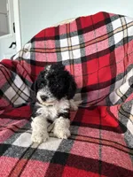 processed/889f60e6-709f-43e0-a992-48fb980dcf98/listing/6faeeed1-3a83-4f46-926c-f2d953f12ef0/20c57e53-615b-4c67-9b27-e42895d0f1d3