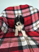 processed/889f60e6-709f-43e0-a992-48fb980dcf98/listing/6faeeed1-3a83-4f46-926c-f2d953f12ef0/47314332-01c1-4ecb-923e-b1cc2da69a41