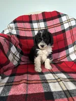 processed/889f60e6-709f-43e0-a992-48fb980dcf98/listing/6faeeed1-3a83-4f46-926c-f2d953f12ef0/708069e0-cdef-444b-b5db-746187edf352