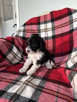 processed/889f60e6-709f-43e0-a992-48fb980dcf98/listing/6faeeed1-3a83-4f46-926c-f2d953f12ef0/c05373ea-368b-4303-81f8-b52d7c75e3cd