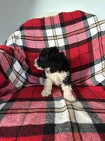 processed/889f60e6-709f-43e0-a992-48fb980dcf98/listing/6faeeed1-3a83-4f46-926c-f2d953f12ef0/ebfa7010-7e5d-4968-a529-9430606c35d0