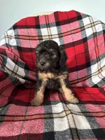 processed/889f60e6-709f-43e0-a992-48fb980dcf98/listing/9905965b-d43f-4ba8-b0b7-01ee38a61830/2da80771-f0c5-43a1-a4d3-09e33ccc3269