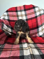 processed/889f60e6-709f-43e0-a992-48fb980dcf98/listing/9905965b-d43f-4ba8-b0b7-01ee38a61830/70a29c6a-b999-4cc1-819c-749002ce4c2b